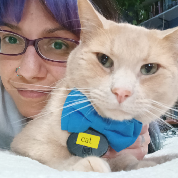 Purrfect Cat Auntie-Sitter