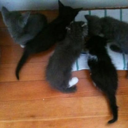 Photo #2