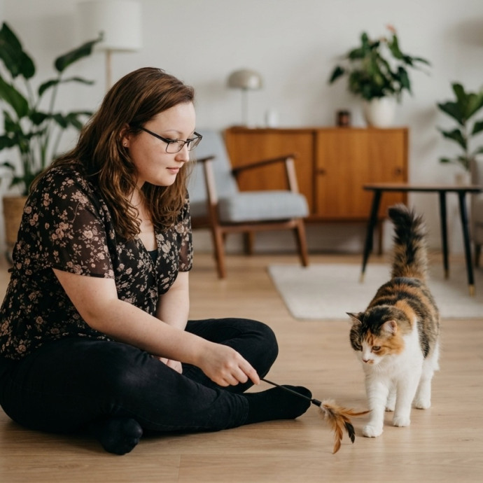 Shy And Senior Cat Care Pro