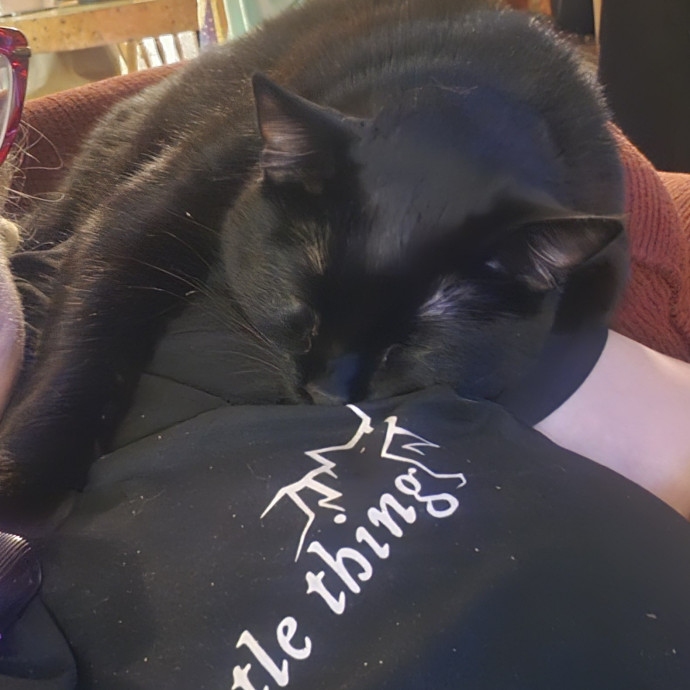 Whisker Watch