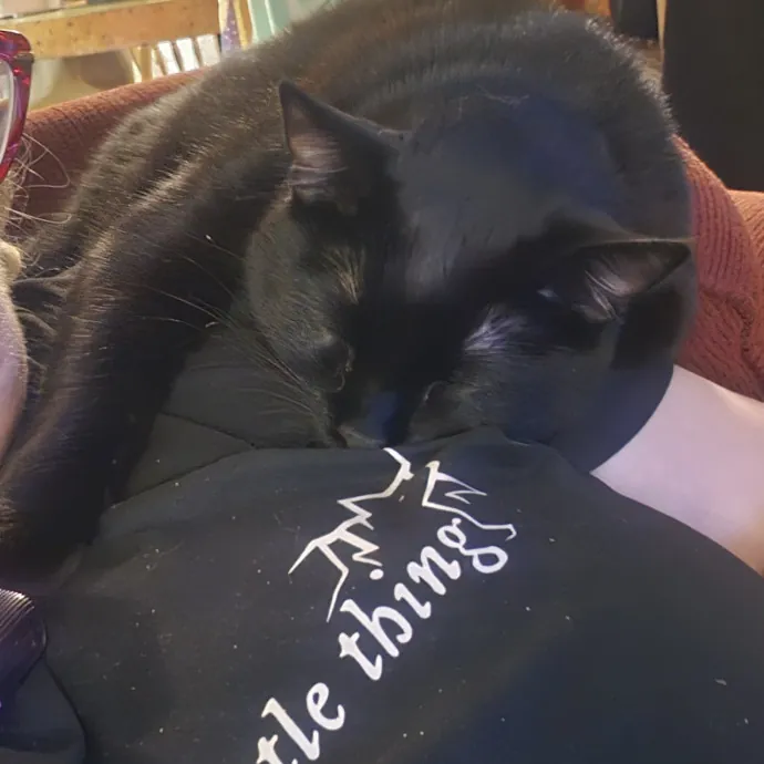 Whisker Watch