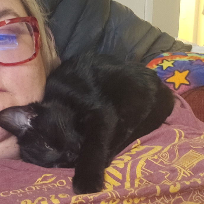 Whisker Watch
