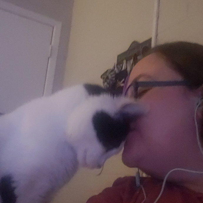 Whisker Watch photo 3