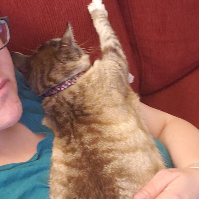 Whisker Watch photo 2