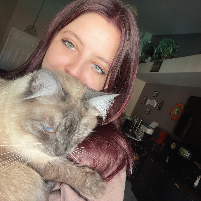 Experienced  Compassionate Cat Care