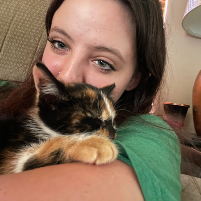 Experienced  Compassionate Cat Care