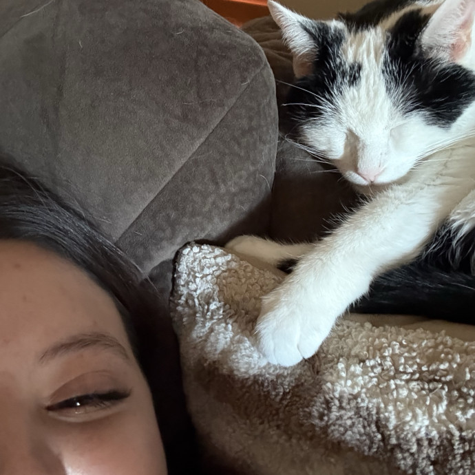 Experienced  Compassionate Cat Care photo 3