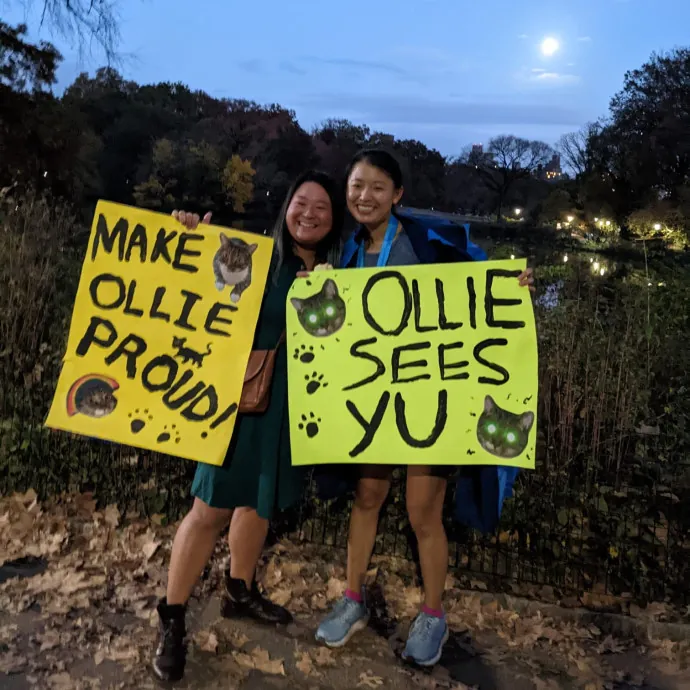 Your Cat's Emotional Support Person