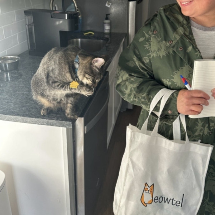Cat's Emotional Support Person