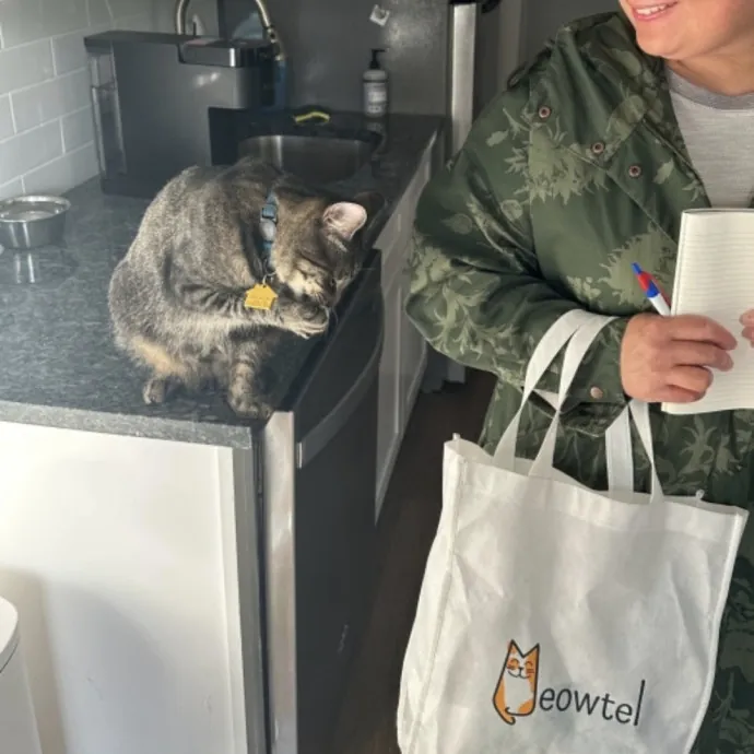 Your Cat's Emotional Support Person