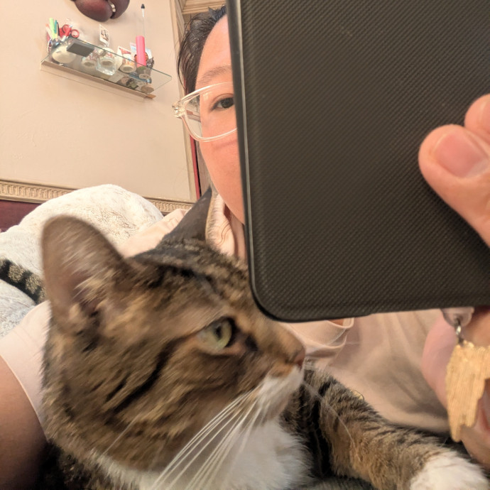 Cat's Emotional Support Person