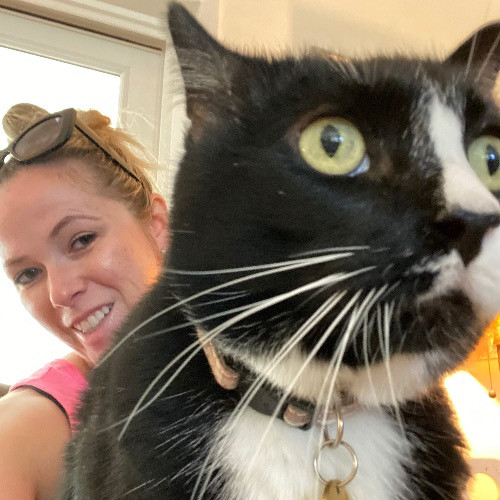 Caring And Dependable Cat Sitter