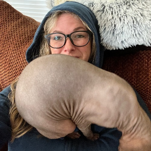 Caring And Dependable Cat Sitter