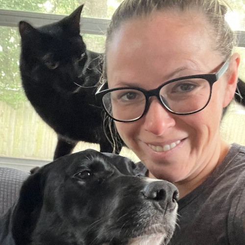 Caring And Dependable Cat Sitter
