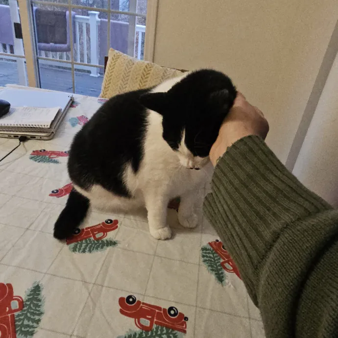 Fur Baby Care