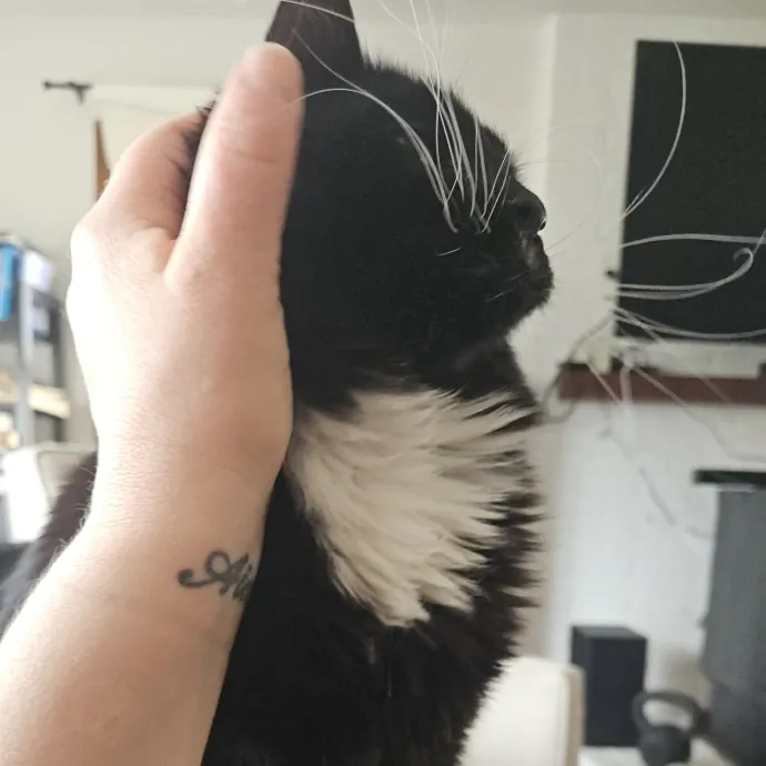 Fur Baby Care