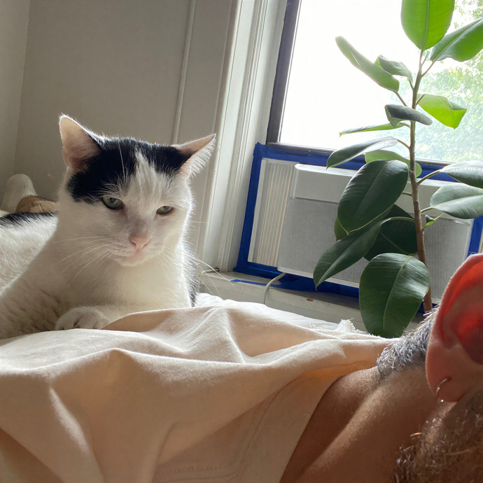 Brendan Your Feline's Bestie photo 3