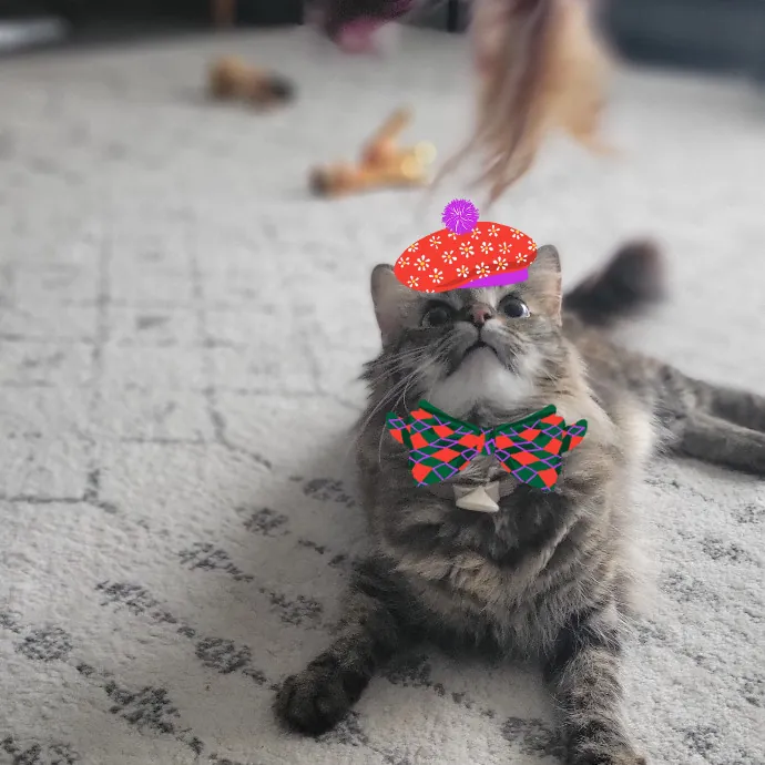 Your Purrfect Sitter