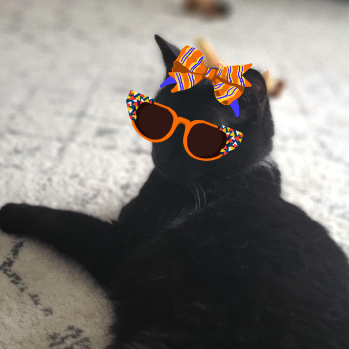 The Purrfect Sitter