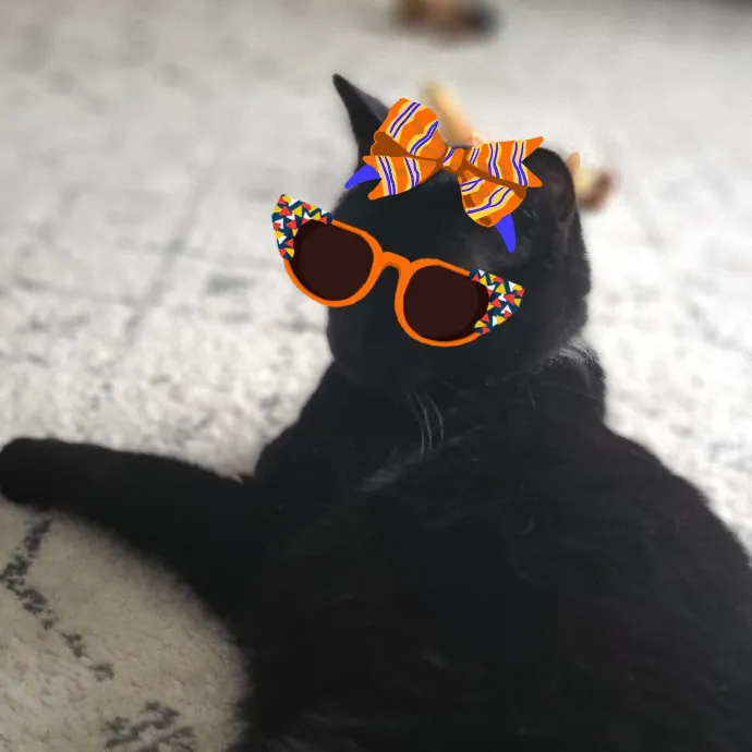 Your Purrfect Sitter