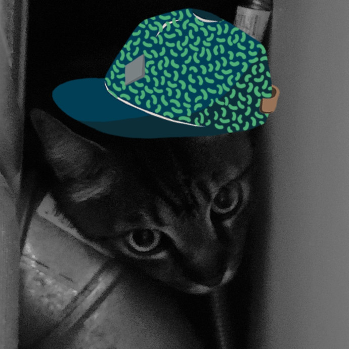 The Purrfect Sitter photo 3