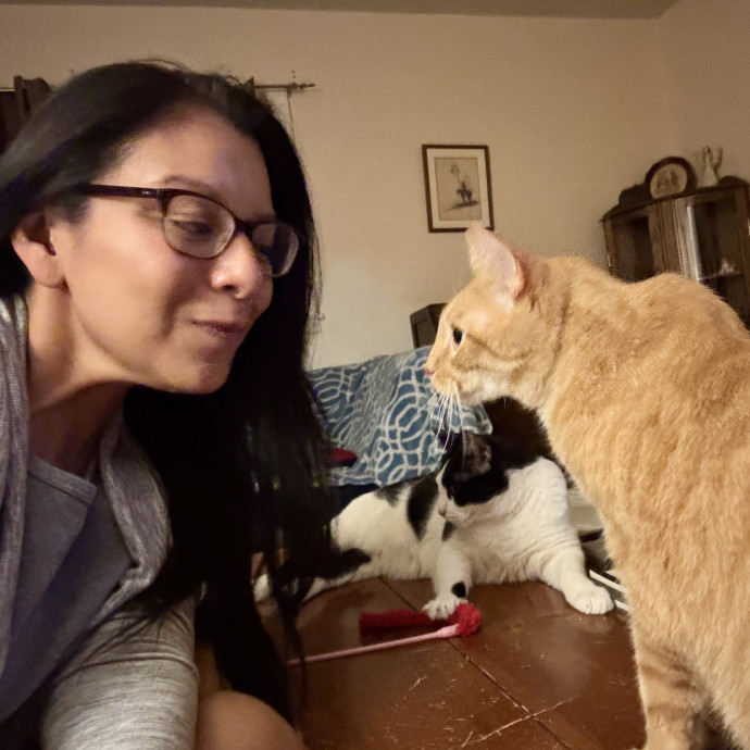 Reliable Loving Cat Care