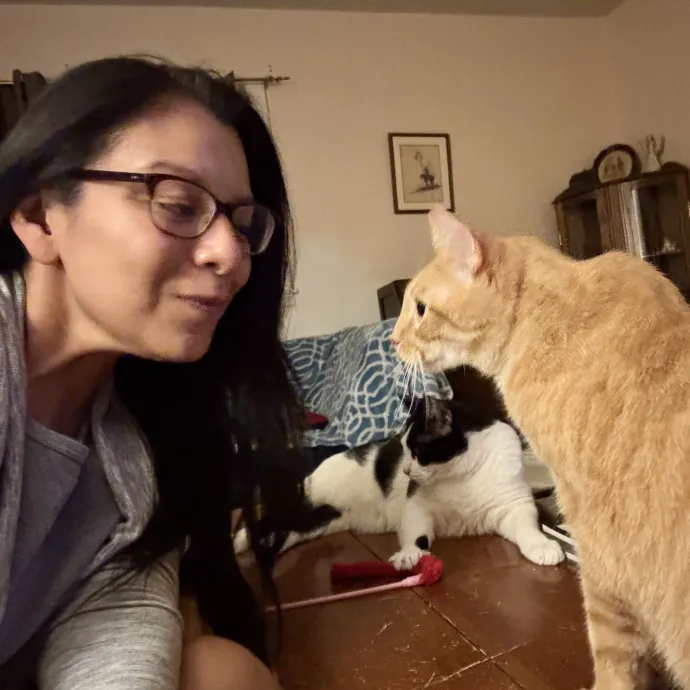 Reliable Loving Cat Care