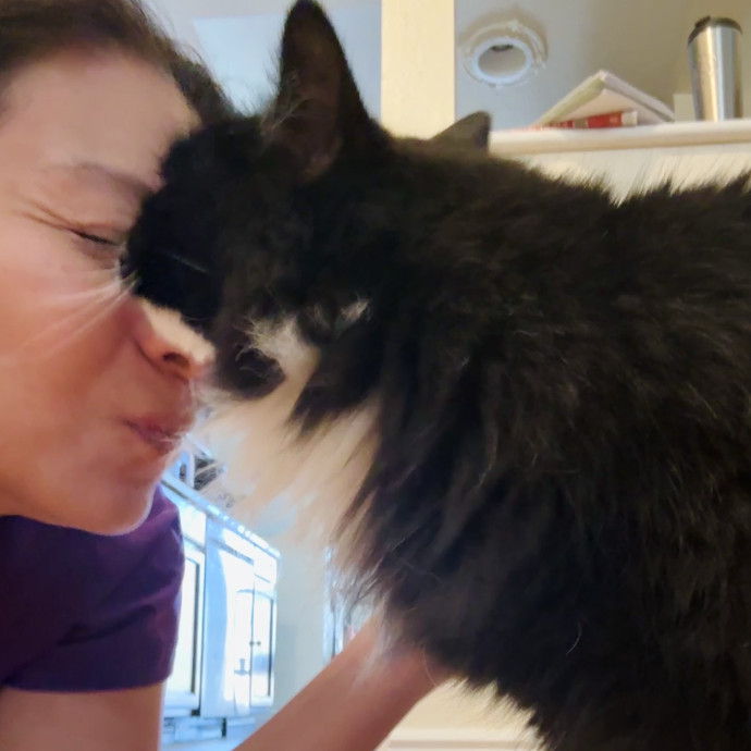 Reliable Loving Cat Care