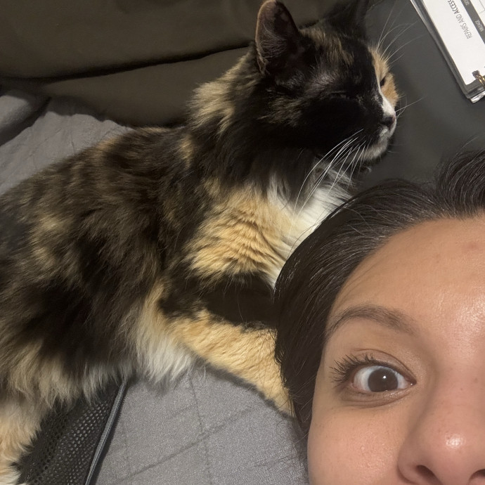 Reliable Loving Cat Care photo 3