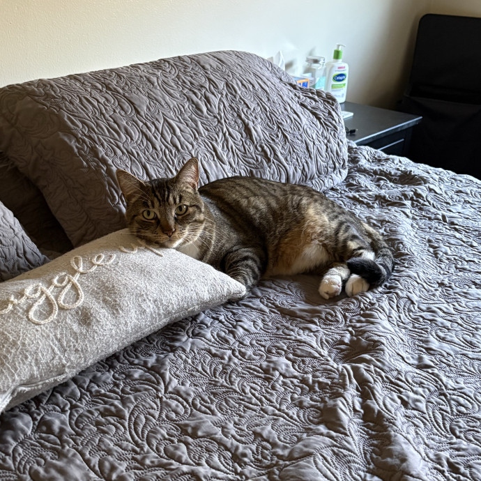 Trusted Cat Mom