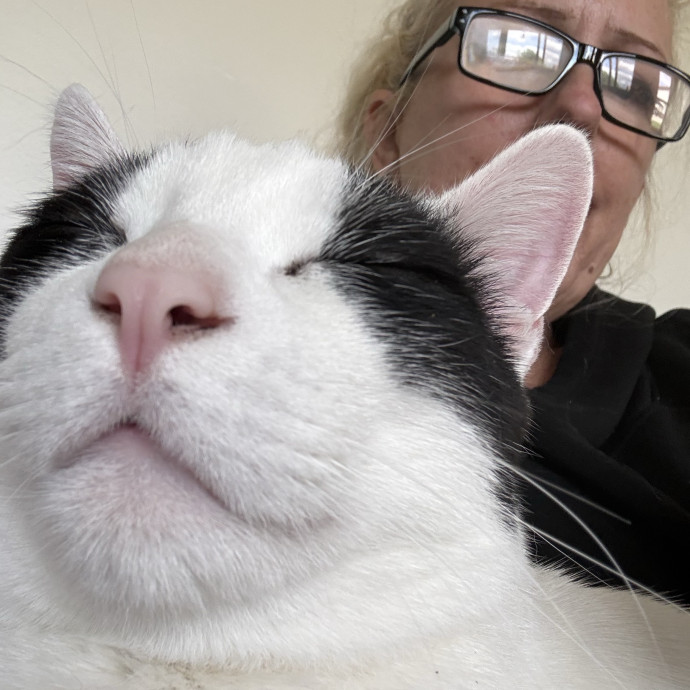 Trusted Cat Mom
