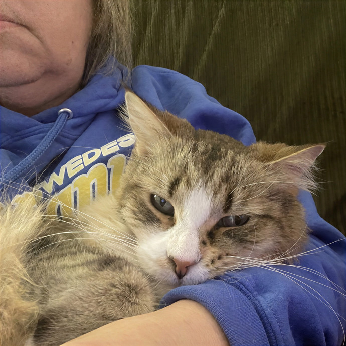 Puuurrrrfect Sitter