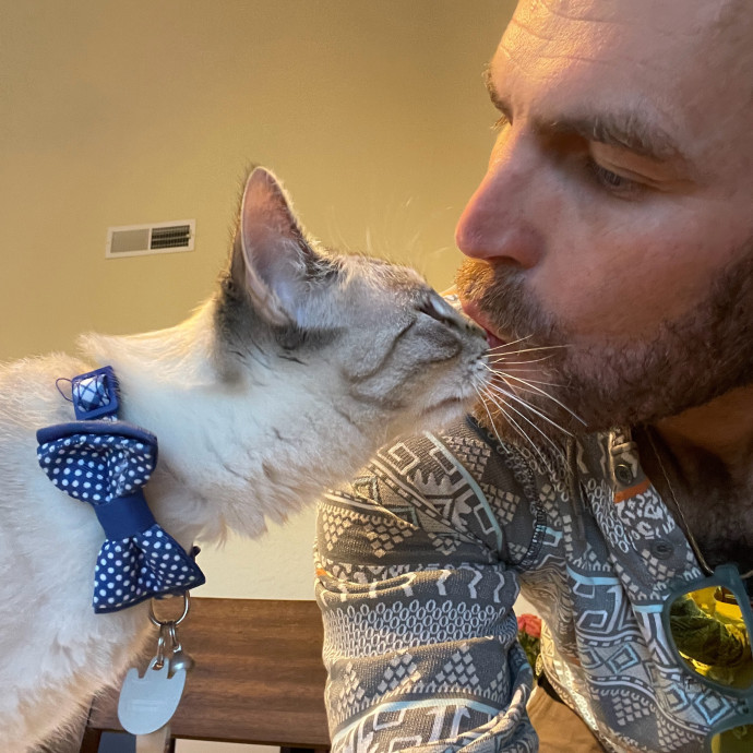 Meowvelous Cat Sitting