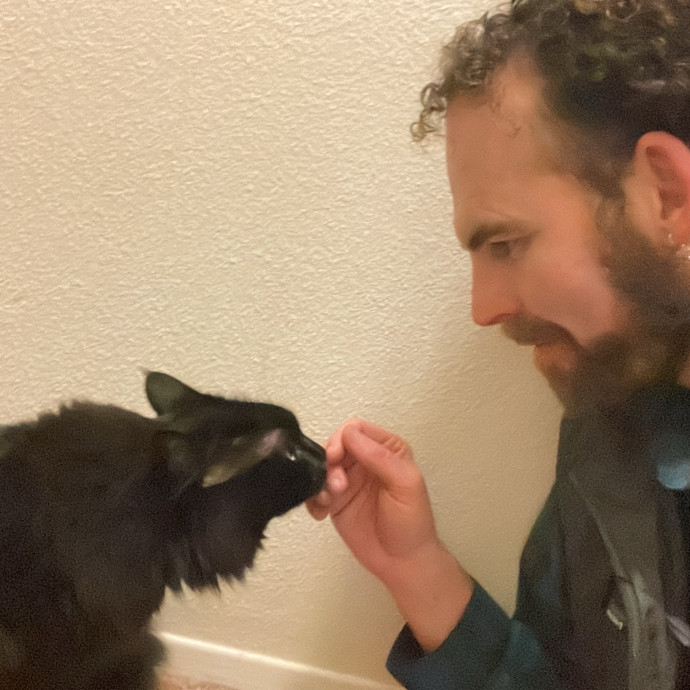 Meowvelous Cat Sitting