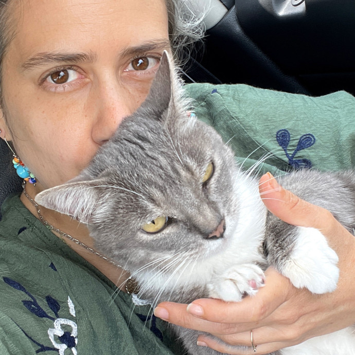 Calm Skilled Cat Care Expert