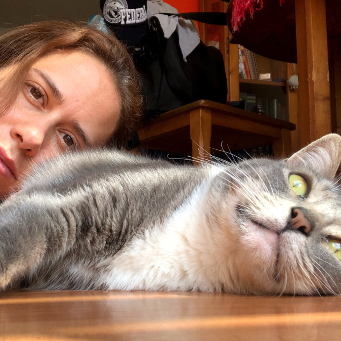 Calm Skilled Cat Care Expert