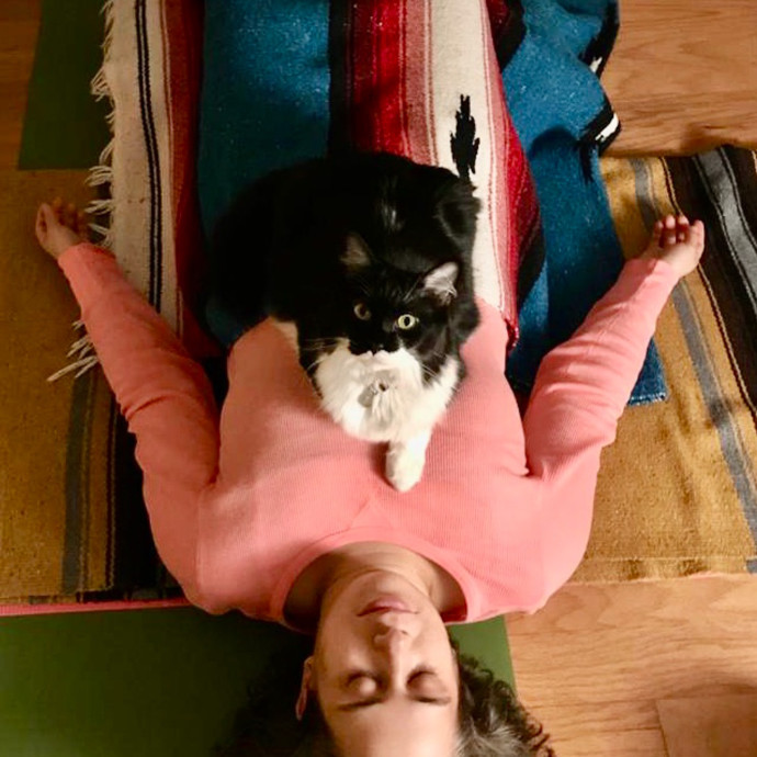 Calm Skilled Cat Care Expert photo 3