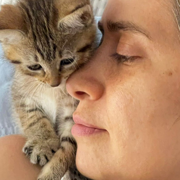 Calm Skilled Cat Care Expert photo 2