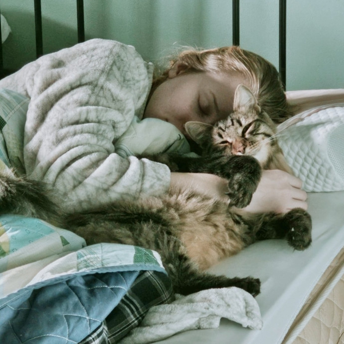 Looking To Pet Every Cat In Somerset