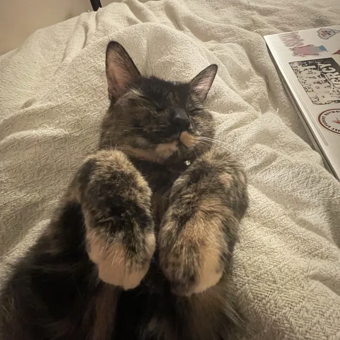Kat D.