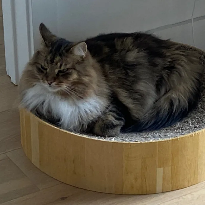 Papa Ralph's Cat Care