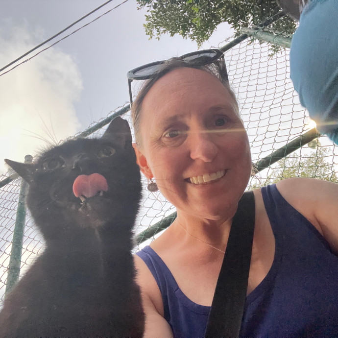 Caring For Columbus Kitties