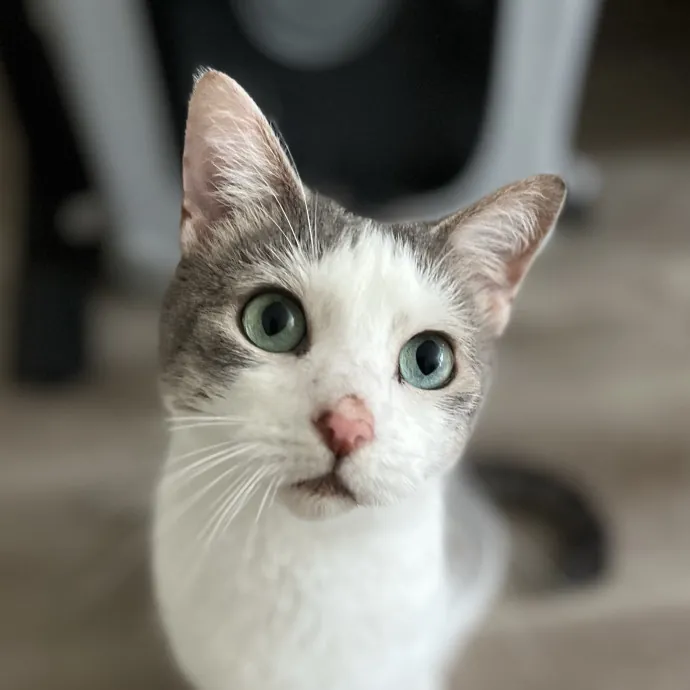 Jeni M.