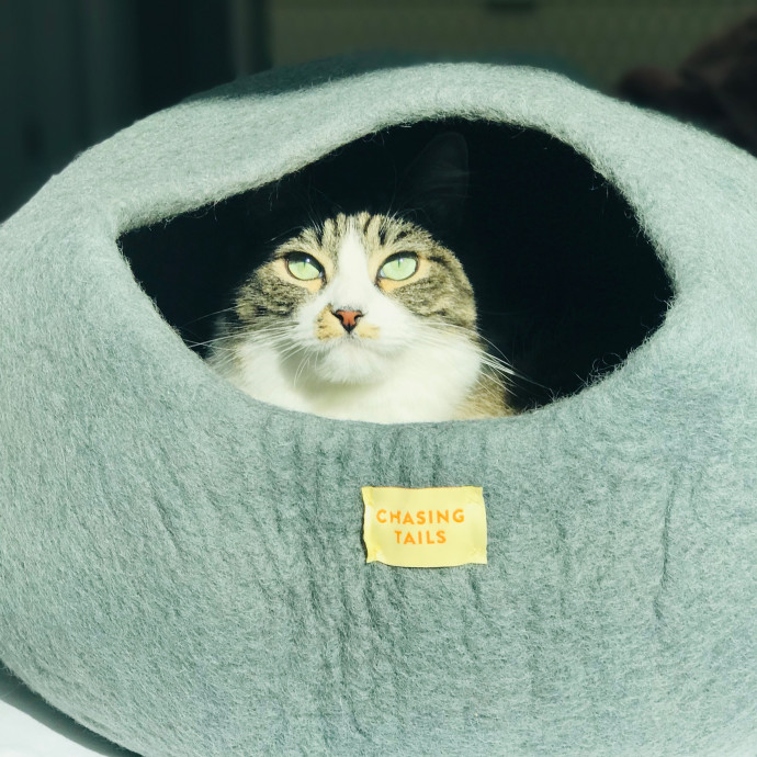 Mina's Cat Sitting