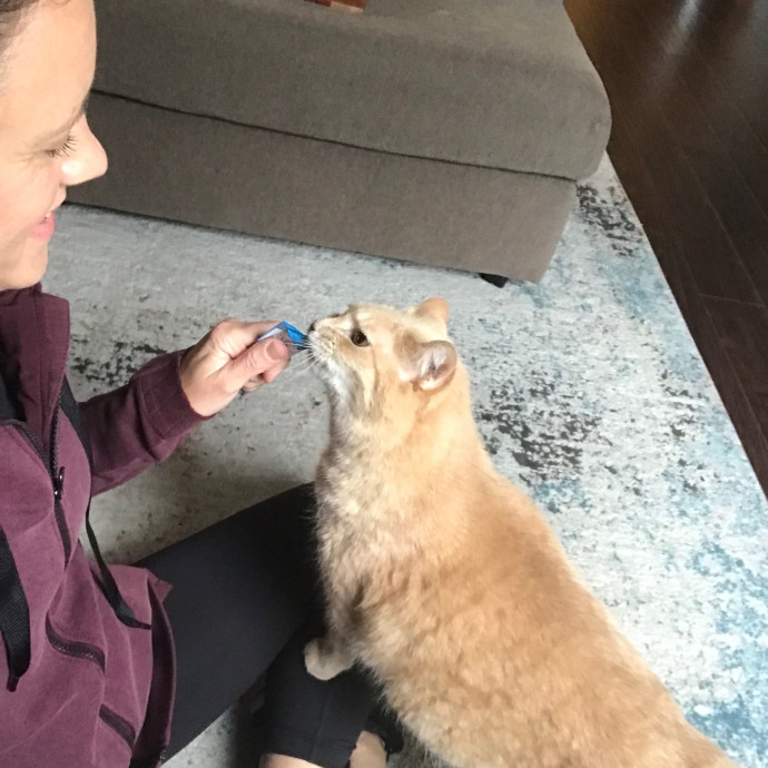 Mina's Cat Sitting