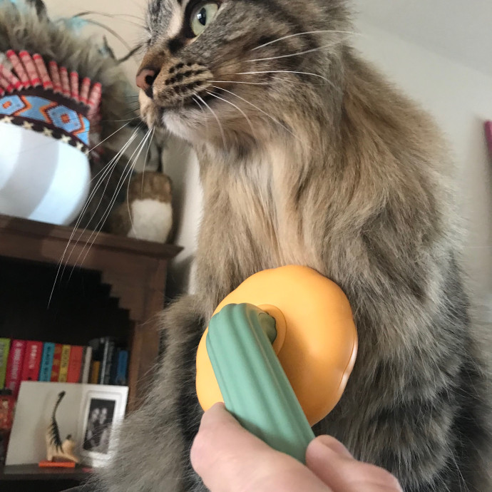 Mina's Cat Sitting