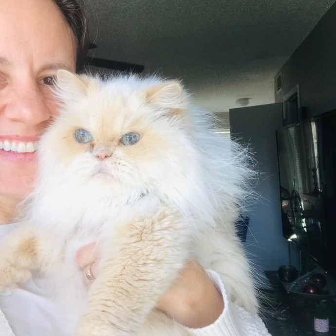 Mina's Cat Sitting
