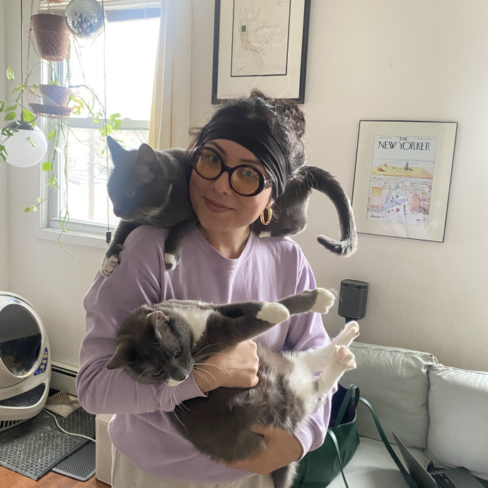 Queens Cat Whisperer