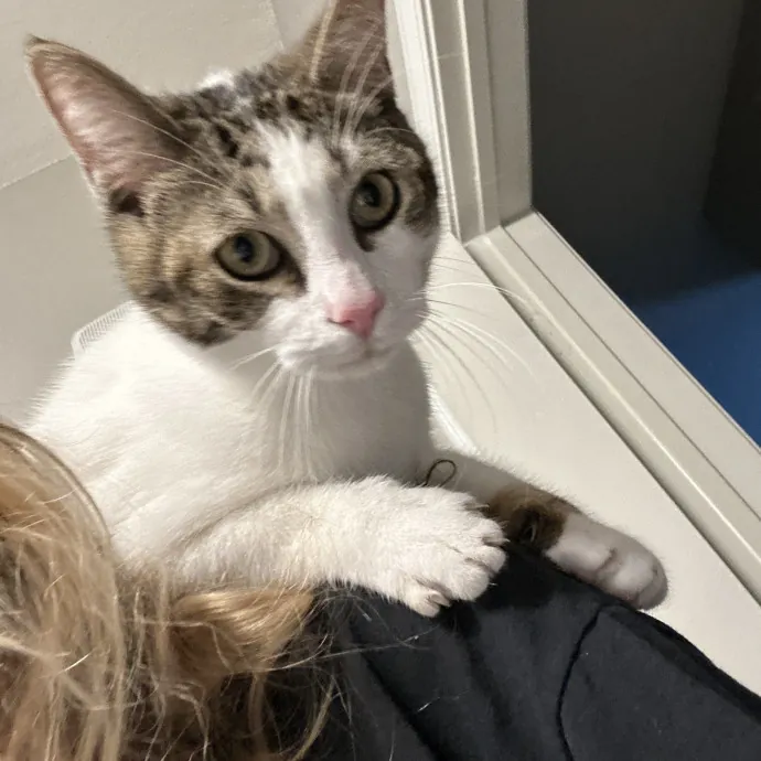 Penelope C.