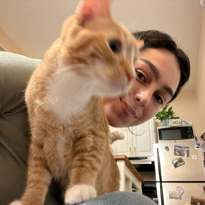 Cat Lover And Experienced Cat-Sitter